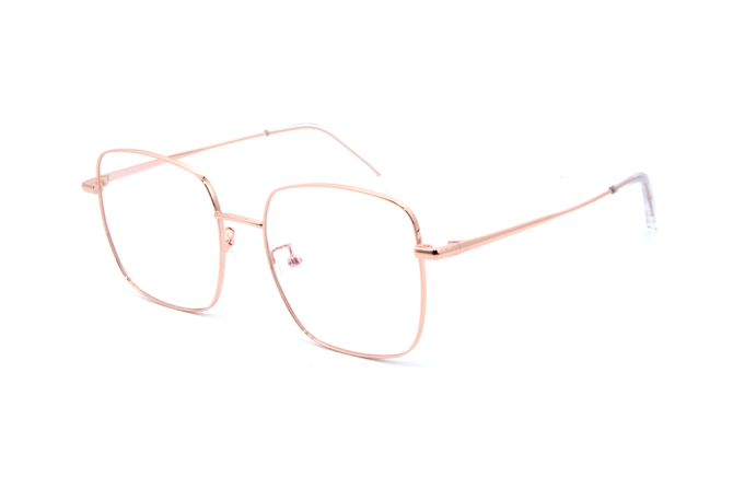 RE 55031-C1